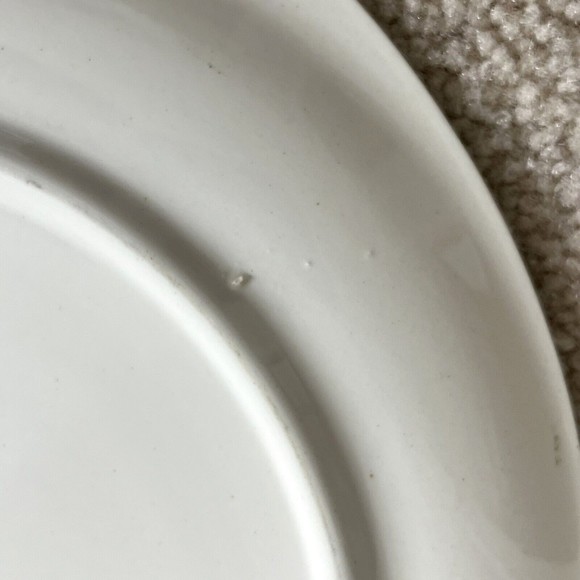 Small Platter Blue Ridge Southern Potteries Tab Handled Rare Forest Fruit - Picture 7 of 9